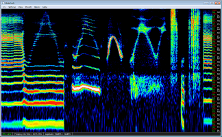 Spectrogramme de voix
